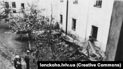 Опознание погибших в тюрьме "Бригидки". Июнь 1941 года, Львов