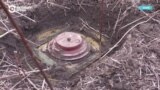 Страны Балтии выходят из договора, запрещающего противопехотные мины. Объясняем, почему они это делают